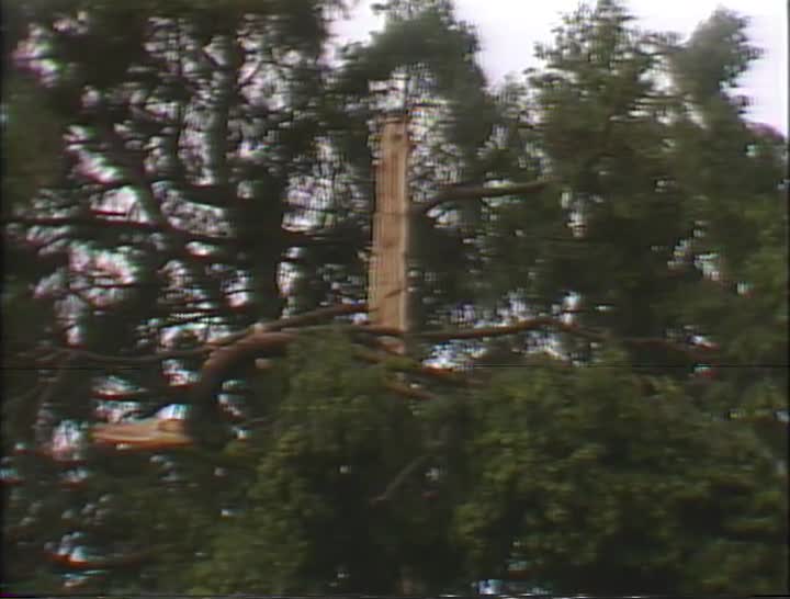 media 156810 thumbnail image