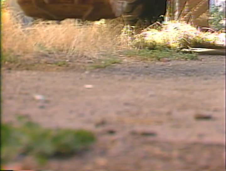 media 156820 thumbnail image