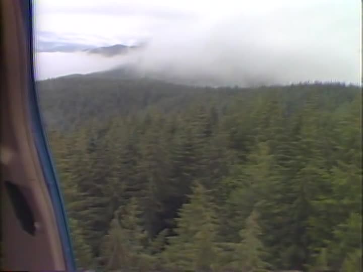 media 156821 thumbnail image
