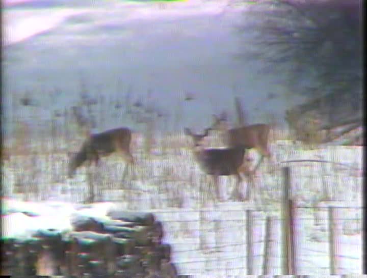 media 156849 thumbnail image
