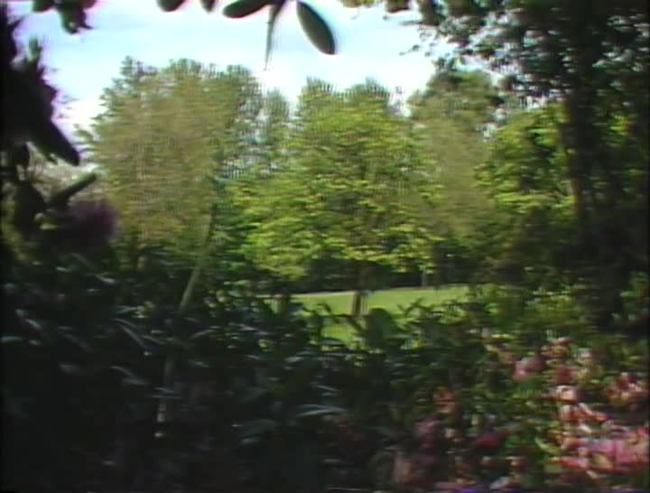 media 156910 thumbnail image
