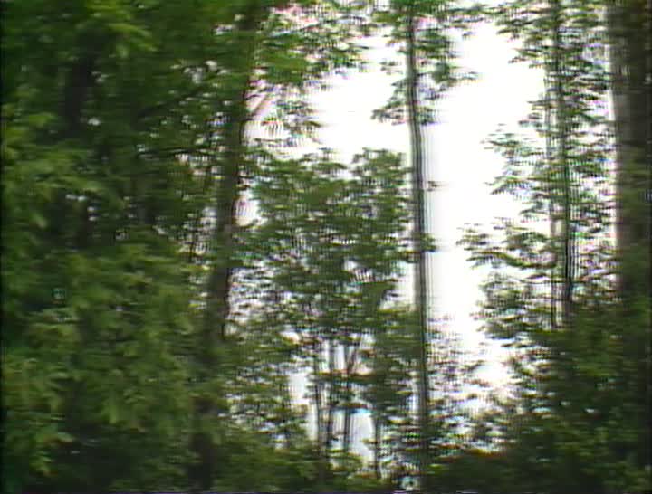 media 156925 thumbnail image
