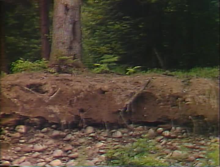 media 156940 thumbnail image