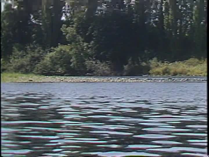 media 156972 thumbnail image