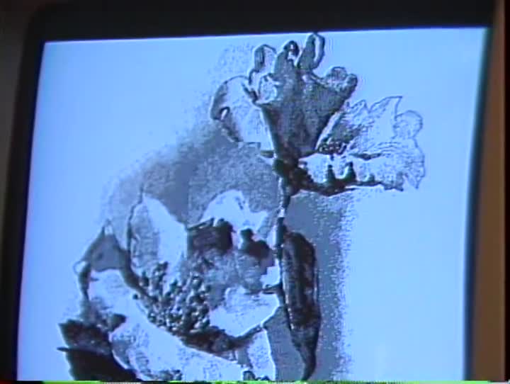media 156984 thumbnail image