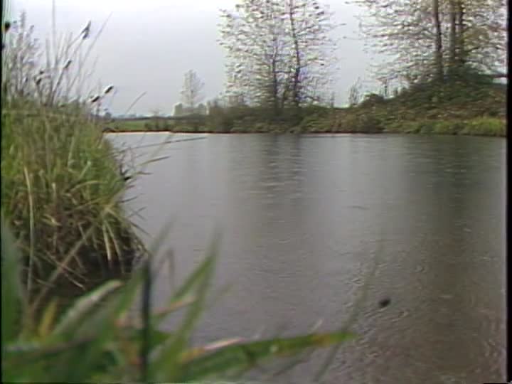media 157004 thumbnail image