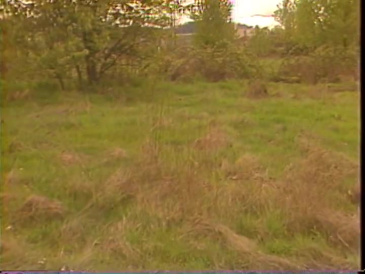 media 157039 thumbnail image