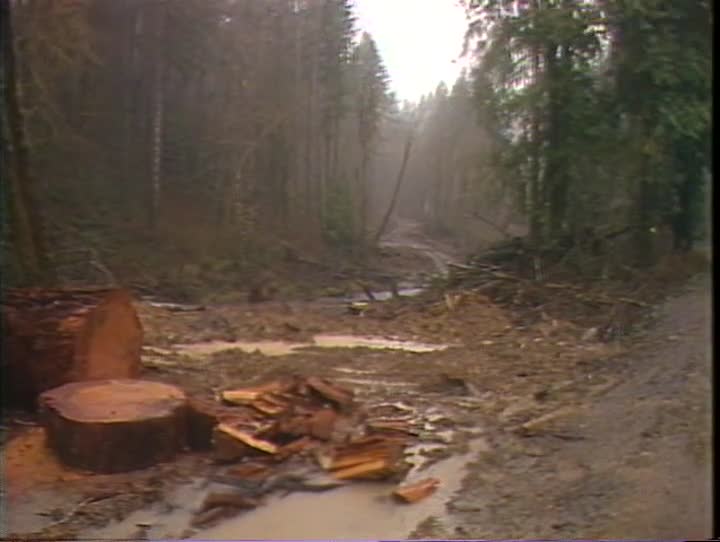media 157076 thumbnail image