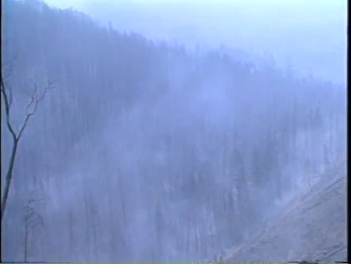 media 157123 thumbnail image