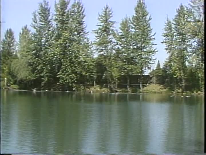 media 157142 thumbnail image