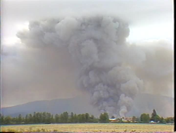 media 157145 thumbnail image