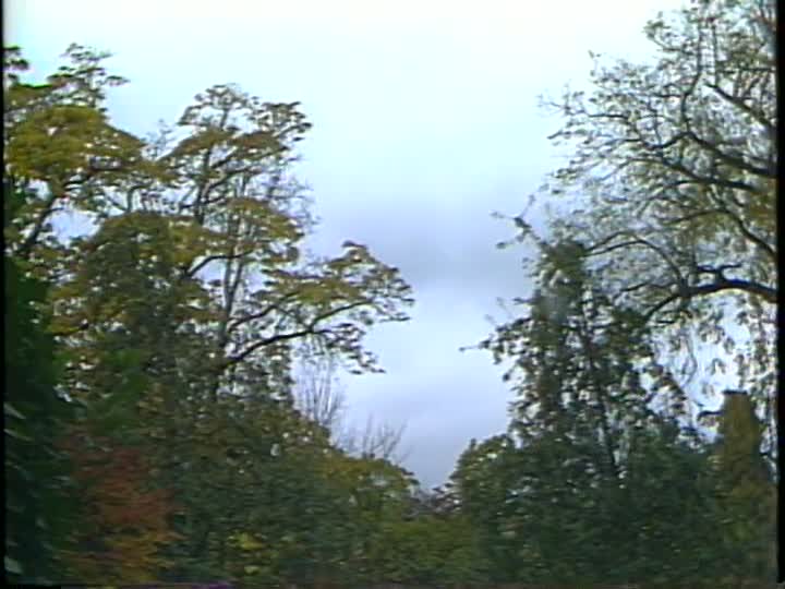 media 157176 thumbnail image