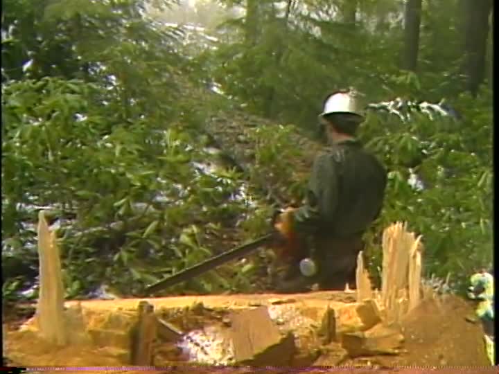 media 157233 thumbnail image
