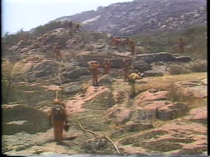 media 157236 thumbnail image