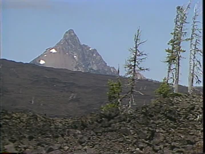 media 157261 thumbnail image