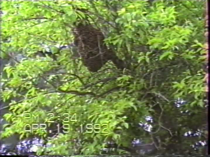 media 157270 thumbnail image