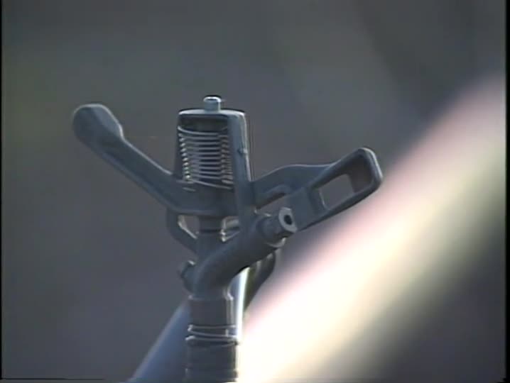 media 157272 thumbnail image