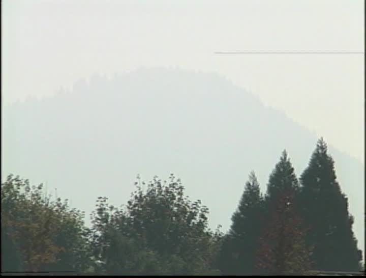 media 157309 thumbnail image