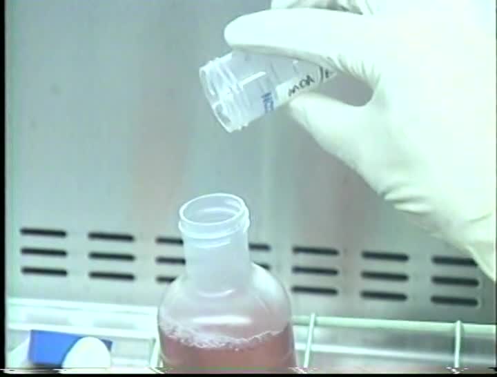 media 157327 thumbnail image