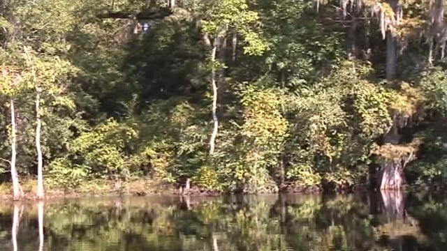 media 172575 thumbnail image