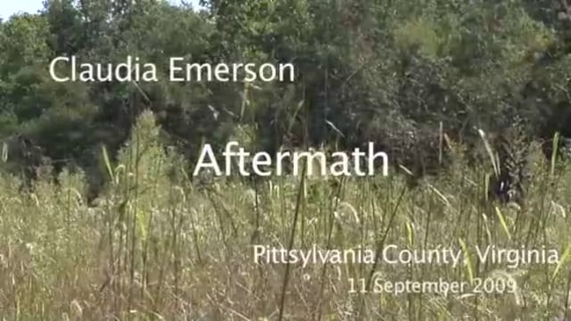 media 172774 thumbnail image