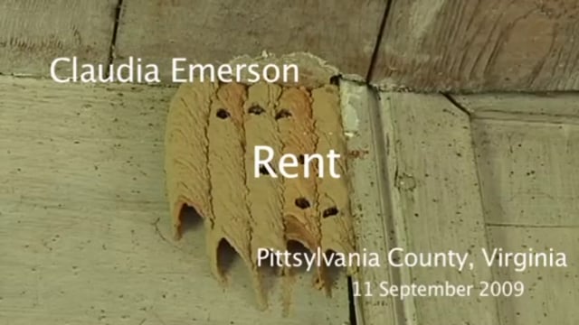 media 172775 thumbnail image