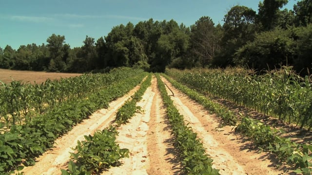 media 172851 thumbnail image
