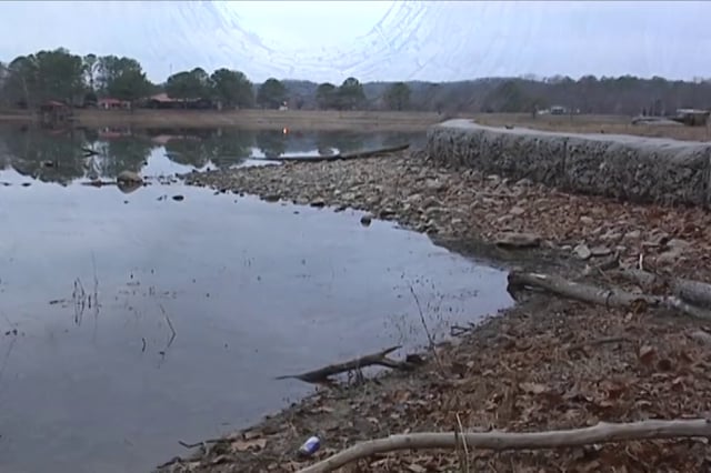 media 172931 thumbnail image