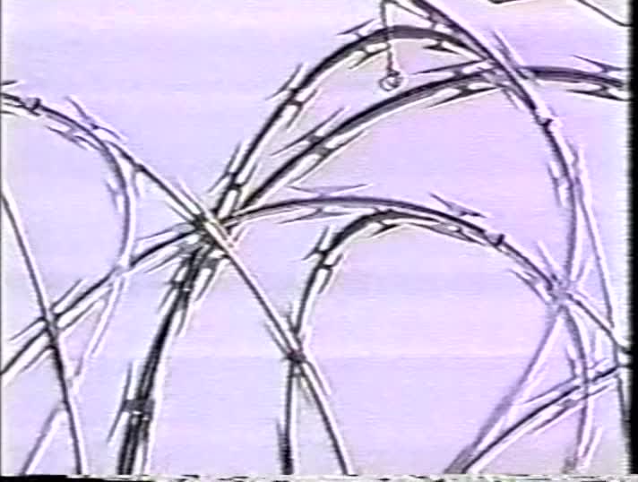media 180897 thumbnail image