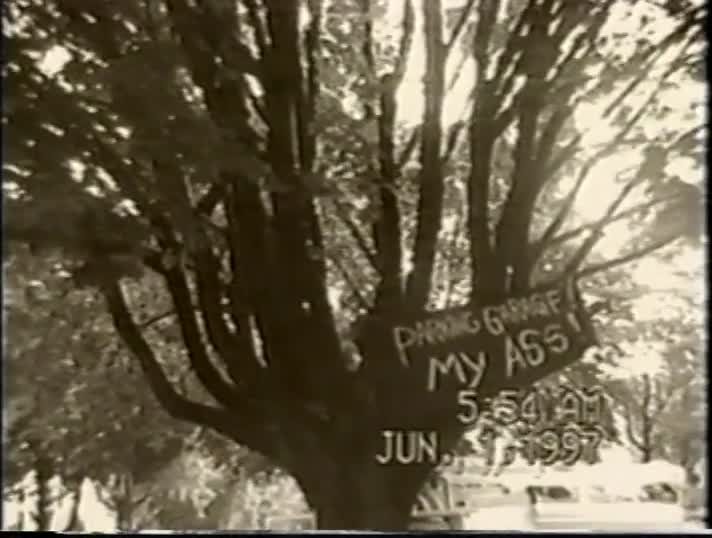 media 180968 thumbnail image