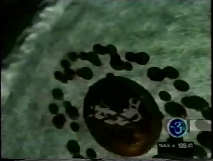 media 181407 thumbnail image