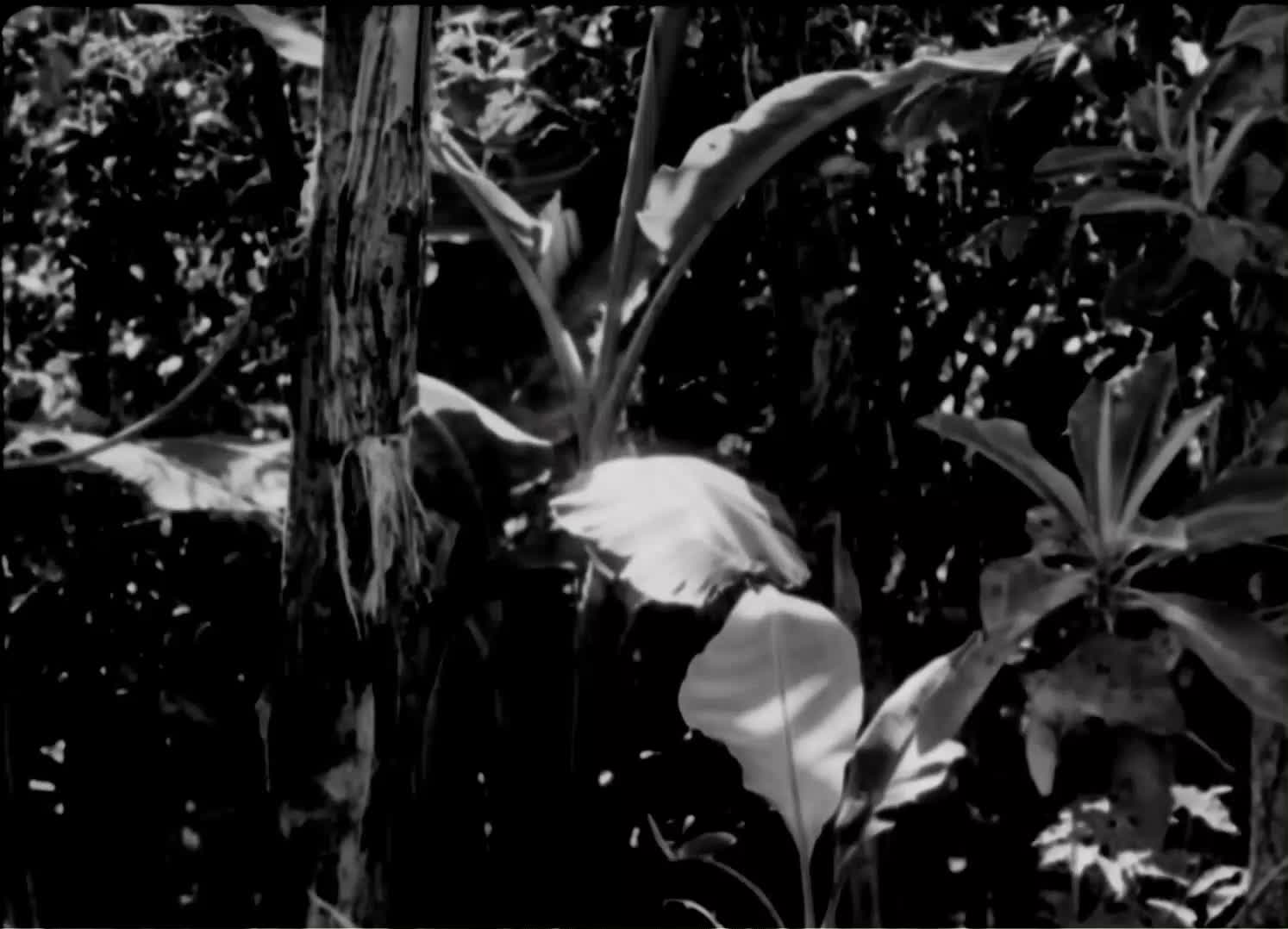 media 192991 thumbnail image
