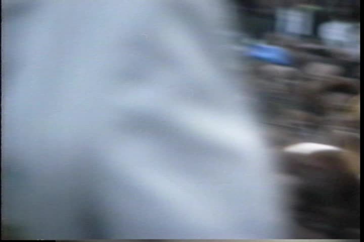 media 206016 thumbnail image