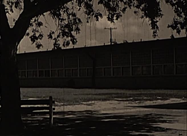 media 210767 thumbnail image