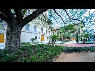 media 210786 thumbnail image