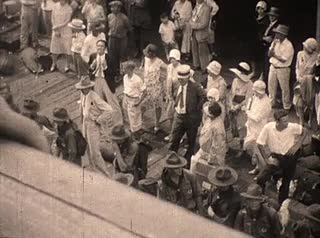media 211556 thumbnail image