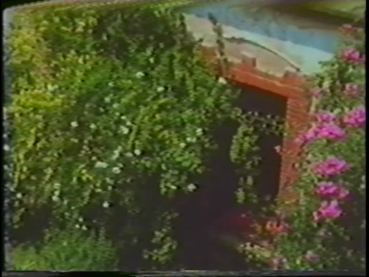 media thumbnail