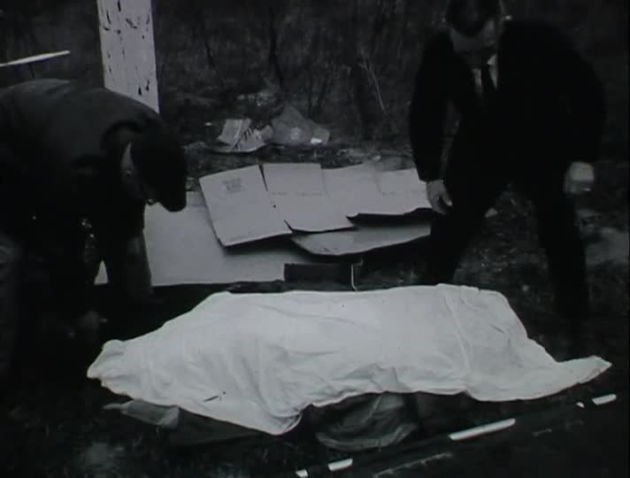 media 213104 thumbnail image