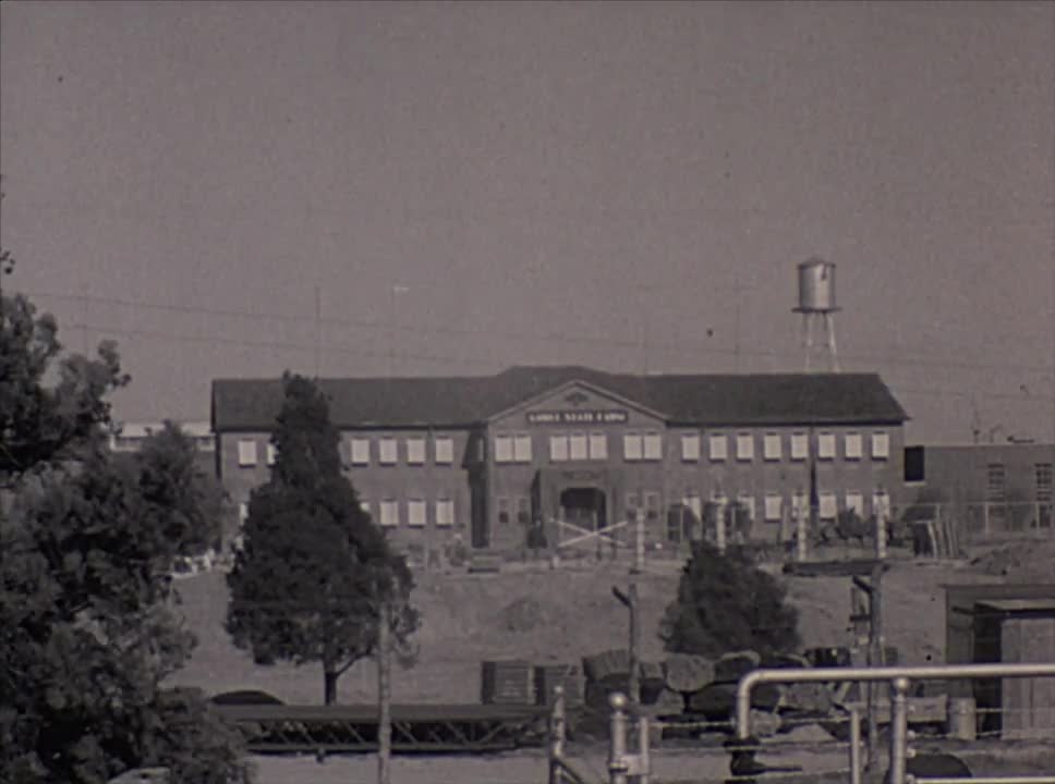 media 213128 thumbnail image