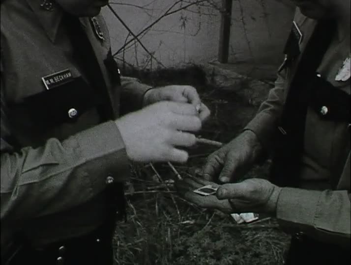 media 213144 thumbnail image