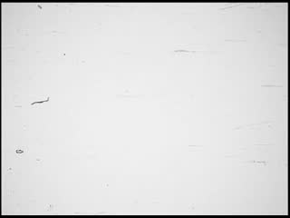 media 213149 thumbnail image