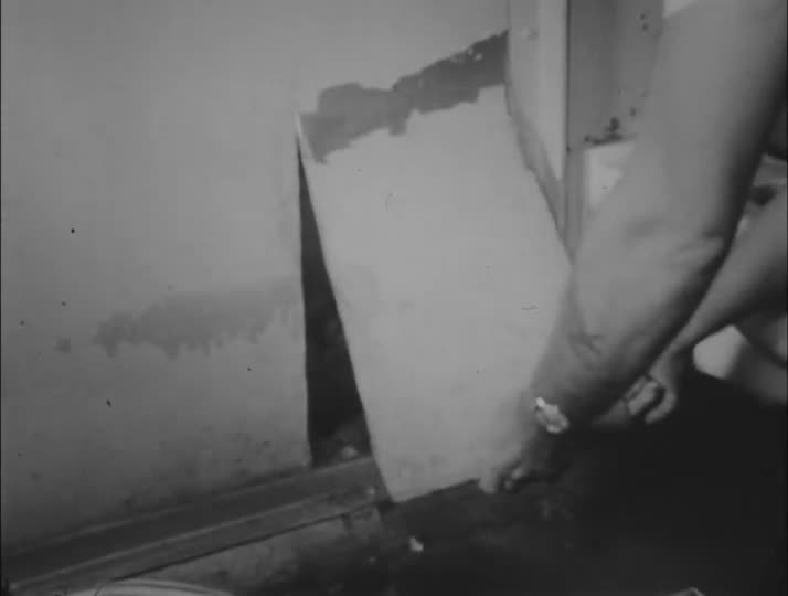 media 213175 thumbnail image
