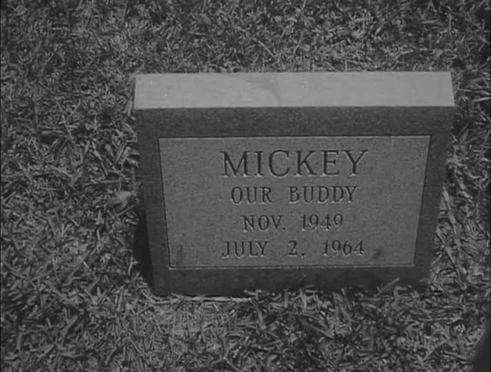 media 213176 thumbnail image