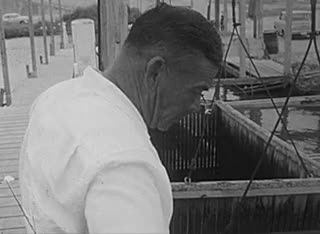 media 213193 thumbnail image