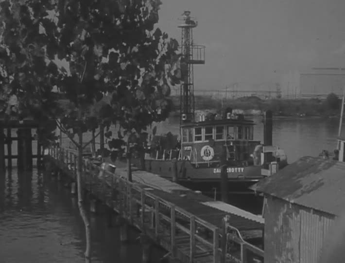 media 213202 thumbnail image