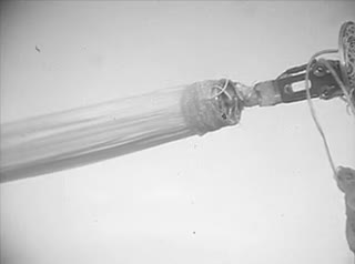 media 213256 thumbnail image
