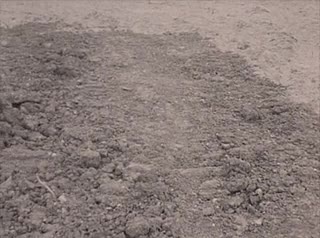 media 213307 thumbnail image