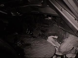 media 213344 thumbnail image