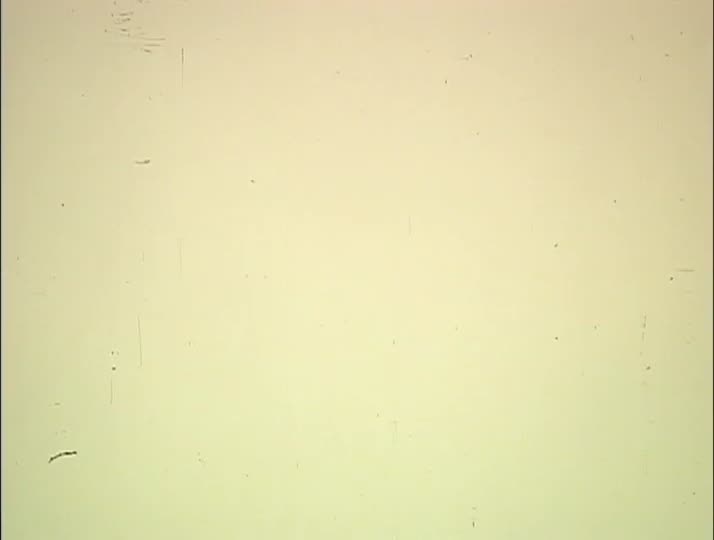 media 213429 thumbnail image