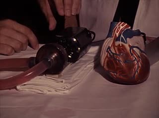 media 213442 thumbnail image